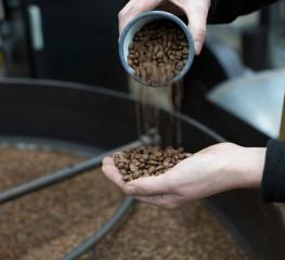 Roastery Freshly Roasted ©Extract Coffee Roasters 02 (1)