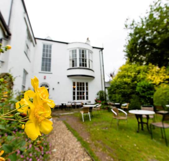 Honiton Garden