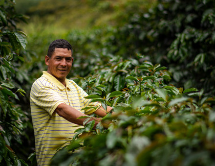 Honduras Trip 3